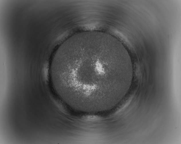 X0000092330590200709141420
