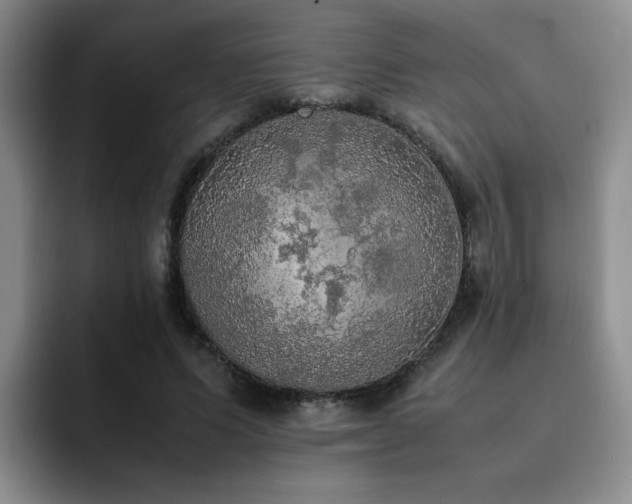 X0000092330591200709141420