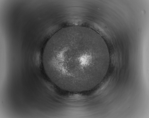 X0000092330594200709141420
