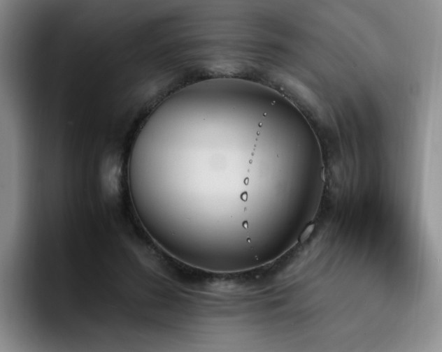X0000092330596200709141420