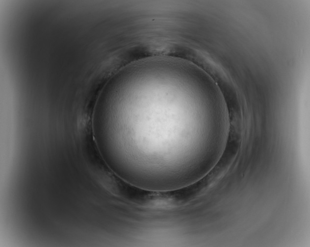 X0000092330601200709141420