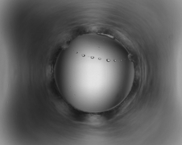 X0000092330605200709141420