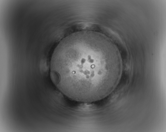 X0000092330607200709141420