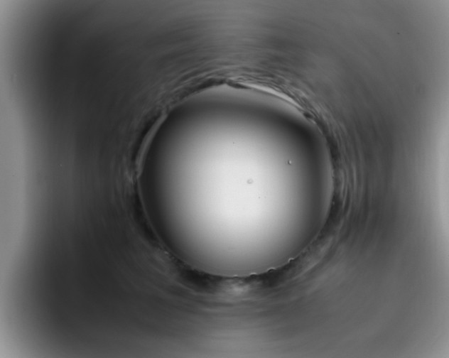 X0000092330613200709141419