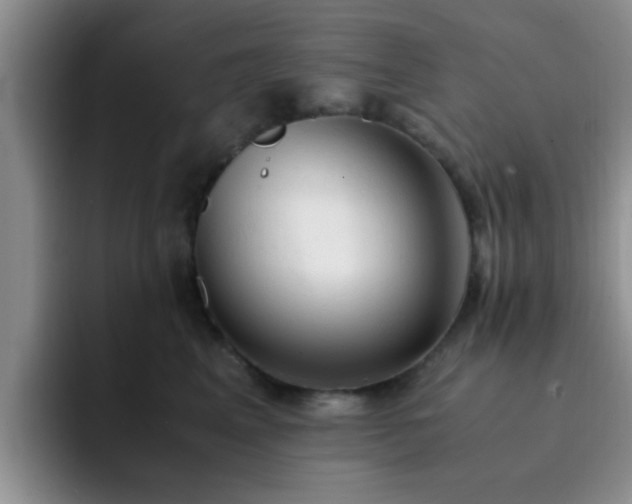 X0000092330617200709141419