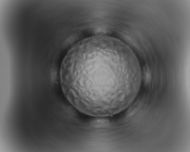 X0000092330619200709141419