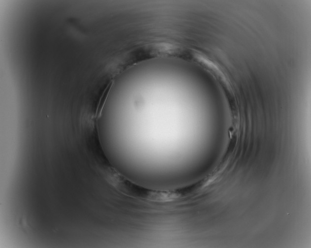 X0000092330621200709141419