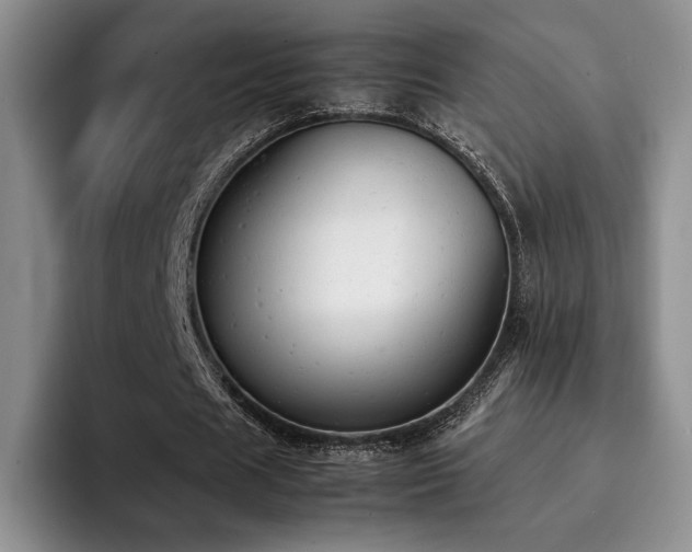 X0000092330625200709141419