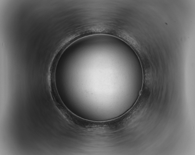 X0000092330626200709141419