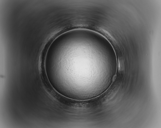 X0000092330627200709141419