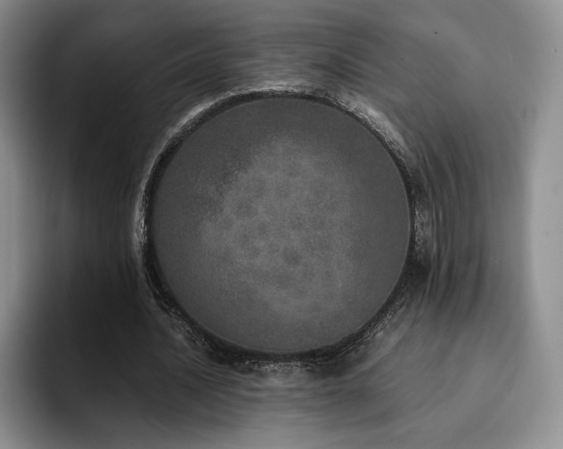 X0000092330628200709141419