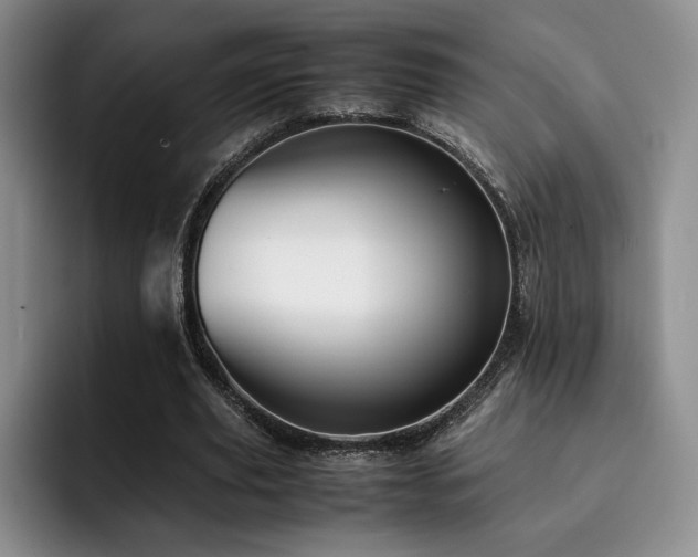 X0000092330629200709141419