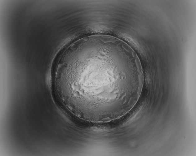 X0000092330630200709141419