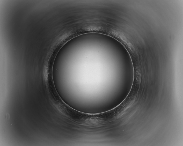 X0000092330631200709141419