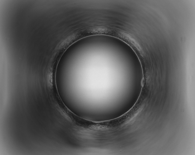 X0000092330633200709141419