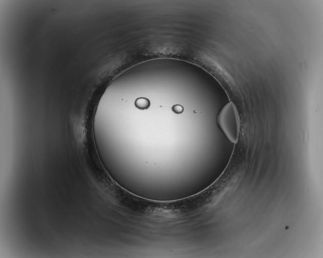 X0000092330635200709141419