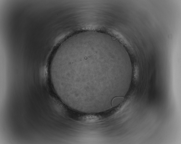 X0000092330636200709141419