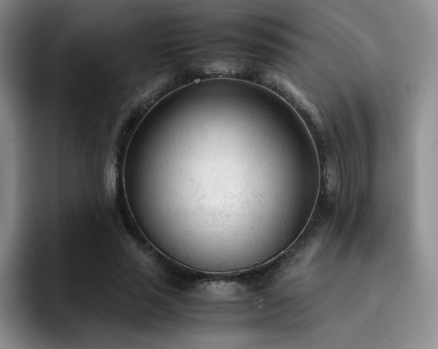 X0000092330637200709141419