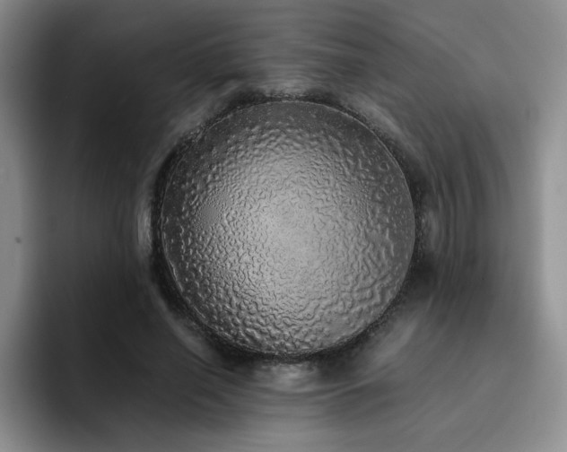 X0000092330638200709141419