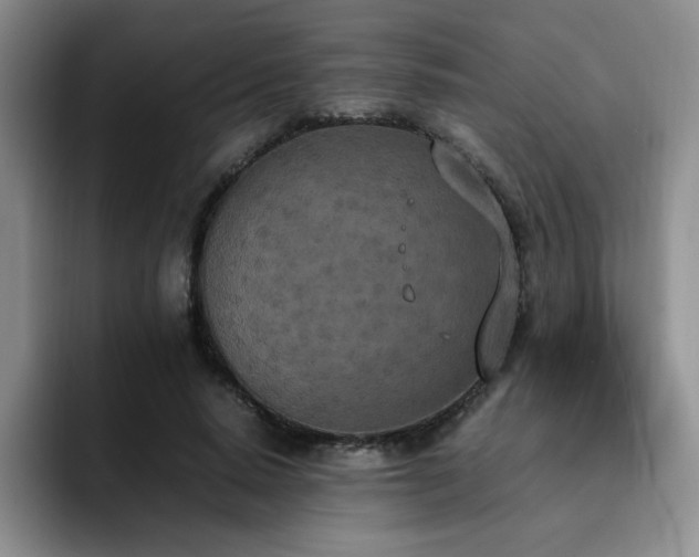 X0000092330640200709141419