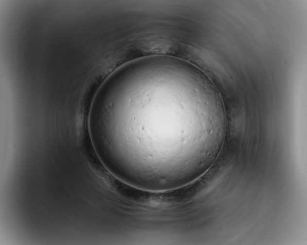 X0000092330641200709141419