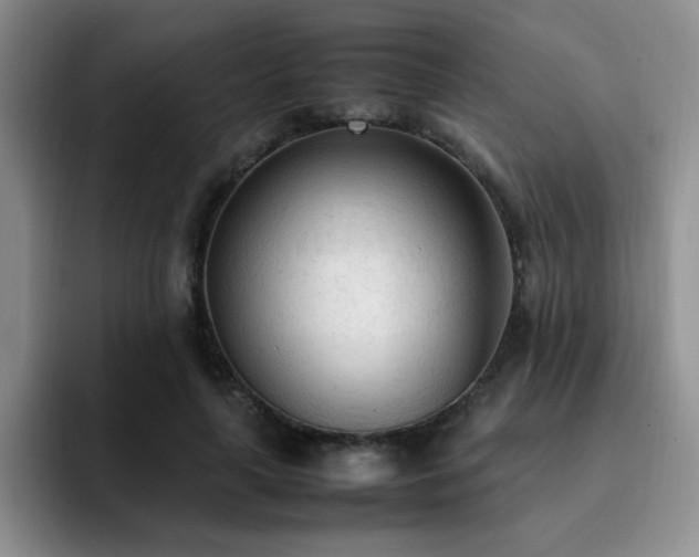 X0000092330643200709141419