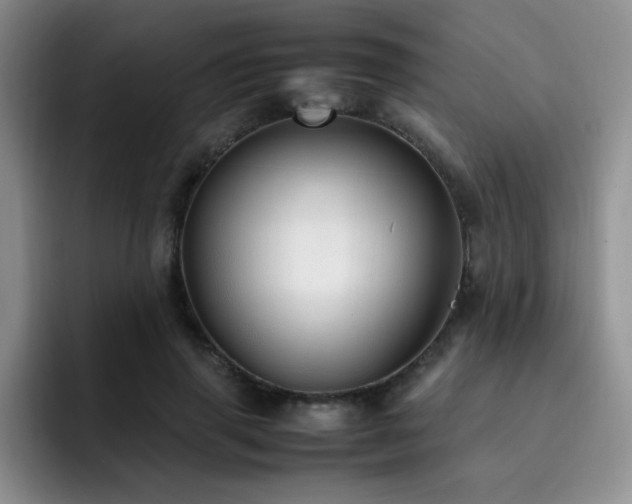 X0000092330645200709141419