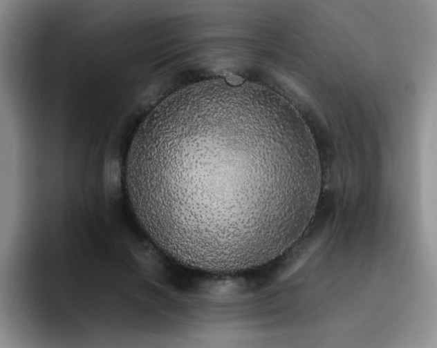 X0000092330646200709141419