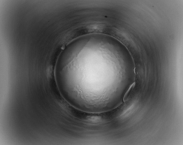 X0000092330649200709141419