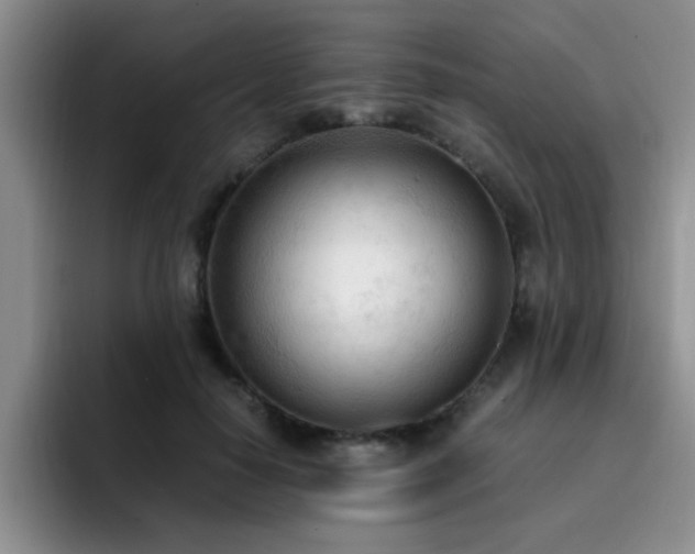 X0000092330650200709141419