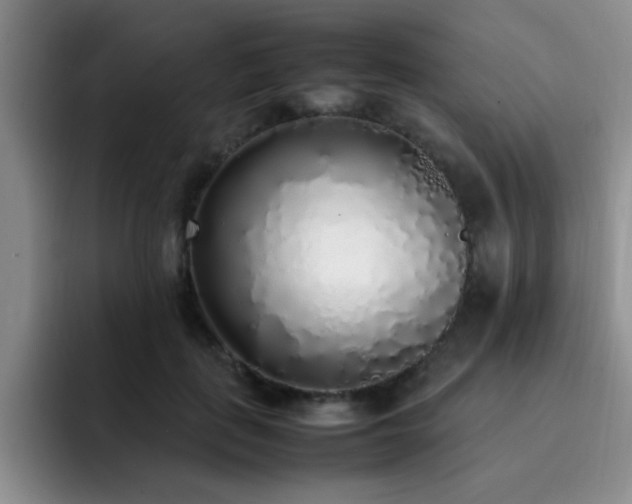 X0000092330651200709141419