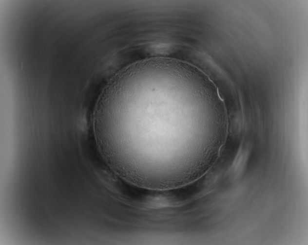 X0000092330655200709141419