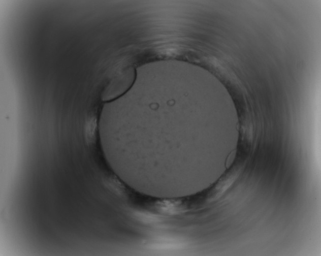 X0000092330660200709141419