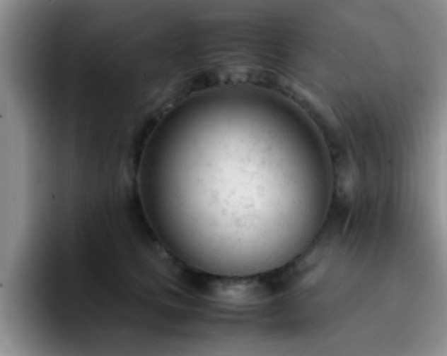 X0000092330661200709141419