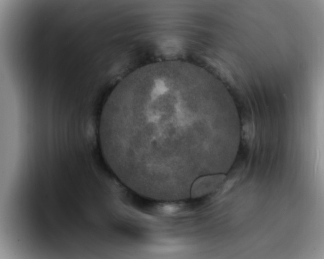 X0000092330662200709141419