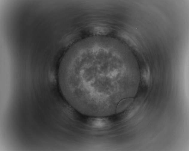 X0000092330663200709141419