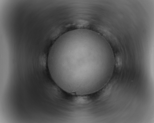 X0000092330664200709141419