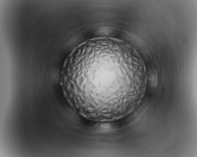 X0000092330665200709141419