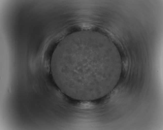 X0000092330666200709141419