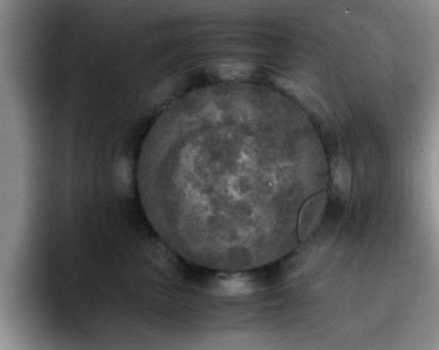 X0000092330667200709141419