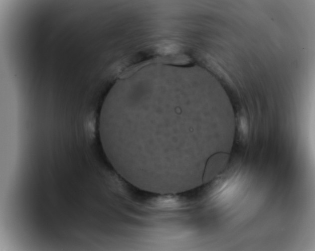 X0000092330668200709141419