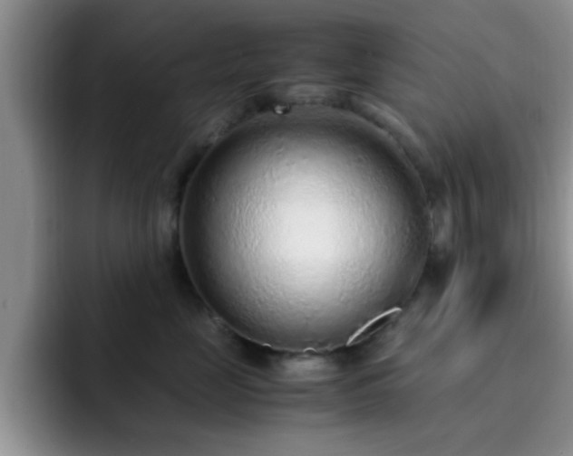 X0000092330669200709141419