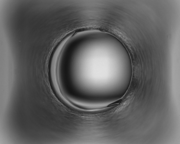 X0000092330673200709141419