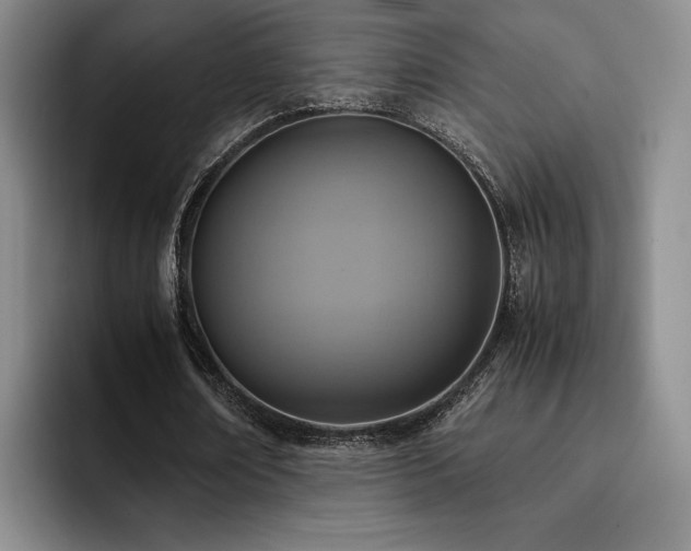 X0000092330674200709141419