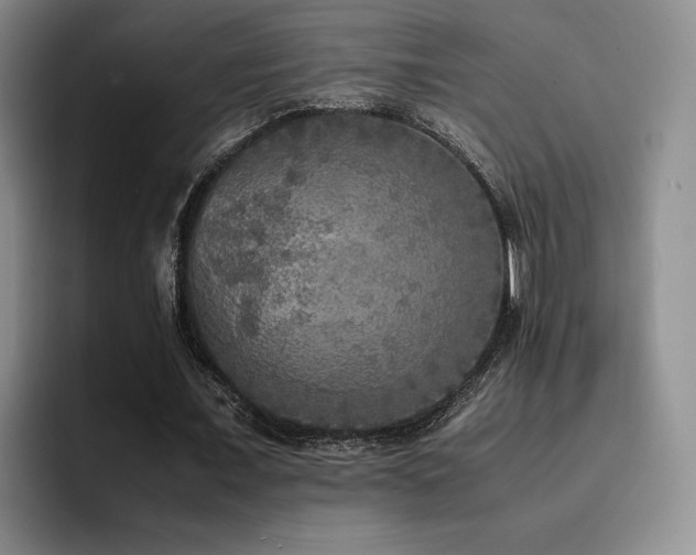 X0000092330675200709141419