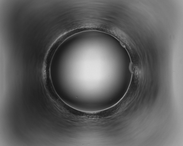 X0000092330676200709141419