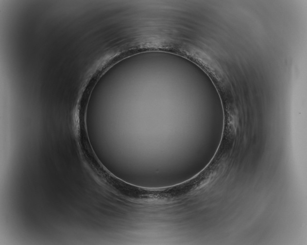 X0000092330678200709141419