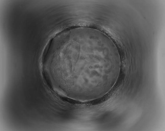 X0000092330679200709141419
