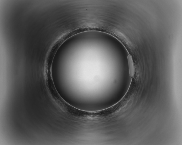 X0000092330680200709141419