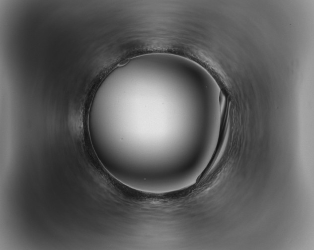 X0000092330681200709141419